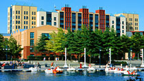 Disney's Hotel New York®  – perhehotelli hyvillä lapsialennuksilla.
